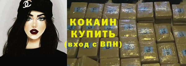 прущие крисы Гусев