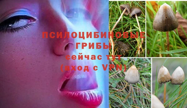 спайс Горнозаводск