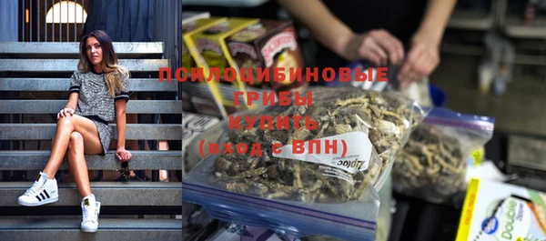 дживик Горняк