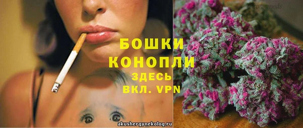 дживик Горняк