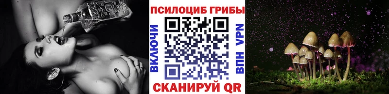 это клад  магазин    Сызрань  Галлюциногенные грибы ЛСД 