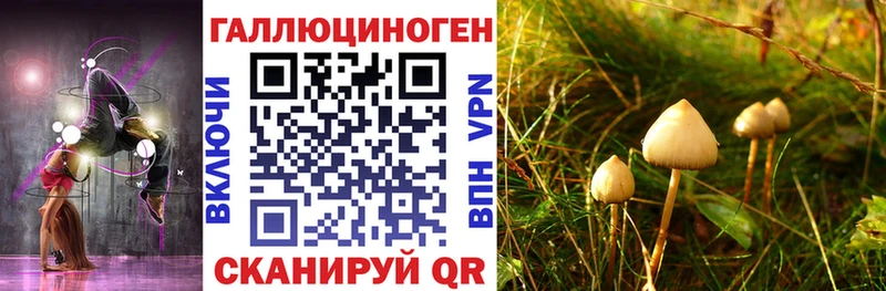 Псилоцибиновые грибы MAGIC MUSHROOMS Сызрань